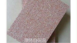 外墙保温形式如何选择 建房时能选择墙体自保温吗